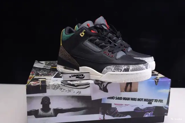 Reps TBK 2.0 Animal Air Retro Jordan - Instinct SE CV3583-003 3 0427